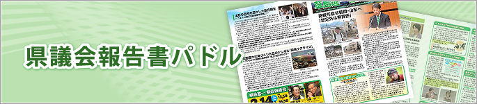 県議会報告書パドル