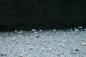 44883F4E-5E76-4435-BD98-10D88ED32054_1_105_c