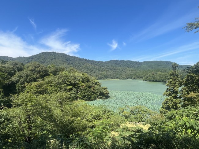 夏大山上池下池